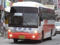 [경기] 여주,가평-(청평,현리),기타 모음잡사 - 버스 갤러리