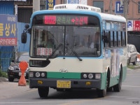 [충남] 논산 2편 - 버스 갤러리