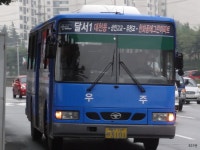 * 시내잡사 - 대구 1 (성서공단, 동화사 外) - 버스 갤러리