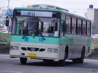 * 시내잡사 - 대구 3 外 (칠성시장, (현풍터미널, 달성2차공단) 外 - 버스 갤러리