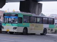 * 시내잡사 - 대구 3 外 (칠성시장, (현풍터미널, 달성2차공단) 外 - 버스 갤러리