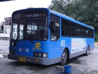 * 시내잡사 - 대구 3 外 (칠성시장, (현풍터미널, 달성2차공단) 外 - 버스 갤러리