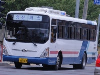 * 시내잡사 - 대구 3 外 (칠성시장, (현풍터미널, 달성2차공단) 外 - 버스 갤러리