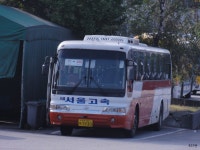 * 이천 잡사 2 (시내, 시외 혼합) - 버스 갤러리