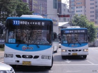 * 이천 잡사 2 (시내, 시외 혼합) - 버스 갤러리