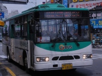 * 이천 잡사 2 (시내, 시외 혼합) - 버스 갤러리