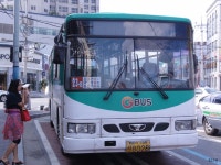 * 이천 잡사 2 (시내, 시외 혼합) - 버스 갤러리