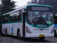 * 파주 잡사 1 (향양리, 문산터미널, 갈곡리(신일여객) - 버스 갤러리