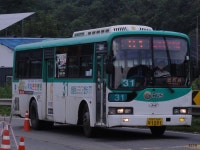 * 파주 잡사 1 (향양리, 문산터미널, 갈곡리(신일여객) - 버스 갤러리