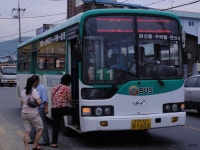 * 파주 잡사 2 (어둔리, 법원리, 문산터미널) - 버스 갤러리