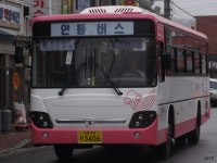 [경북] 영주, 봉화(석포), 안동 잡사 (시내. 시외) - 버스 갤러리