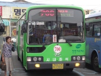 [경북] 포항, 경주(안강, 불국사, 석굴암, 감포), 울산(정자) 잡사 - 버스 갤러리