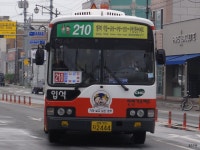 [경북] 포항, 경주(안강, 불국사, 석굴암, 감포), 울산(정자) 잡사 - 버스 갤러리