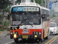 [경북] 포항, 경주(안강, 불국사, 석굴암, 감포), 울산(정자) 잡사 - 버스 갤러리