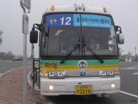 [경북] 포항, 경주(안강, 불국사, 석굴암, 감포), 울산(정자) 잡사 - 버스 갤러리