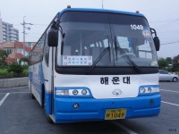 [경북] 포항, 경주(안강, 불국사, 석굴암, 감포), 울산(정자) 잡사 - 버스 갤러리