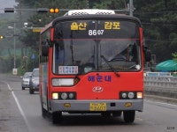 [경북] 포항, 경주(안강, 불국사, 석굴암, 감포), 울산(정자) 잡사 - 버스 갤러리