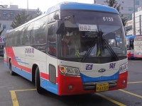 부산(사상)-고현,장승포 무정차 지금도 줄서서 탑승해야 되는? - 버스 갤러리