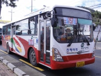 [경남] 창원 잡사 1 - 버스 갤러리