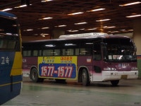 [수도권] 카메라 구입기념 촬영 테스트 3 (성남터미널) - 버스 갤러리