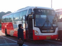 [광역시.경북] 부산 노포동.선산휴게소 (시외.고속버스) - 버스 갤러리