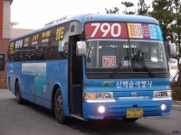 [수도권] 인천 영흥도, 안산 - 버스 갤러리