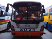 충남-태안잡사 (12/10)-[시험끝난지 4일된 기념 잡사 1] - 버스 갤러리