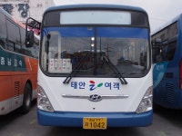 충남-태안 잡사 (안면도(승언리), 창기리 12/11) - 5 - 버스 갤러리