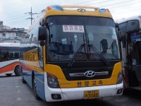 충남-태안 잡사 (안면도(승언리), 창기리 12/11) - 5 - 버스 갤러리