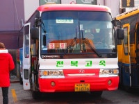 [대전] 유성터미널 - 버스 갤러리