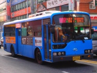 [대전] 유성터미널 - 버스 갤러리