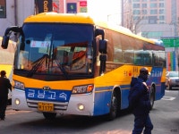 [대전] 유성터미널 - 버스 갤러리