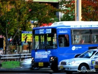 부천지역 버스 잡사~~ - 버스 갤러리