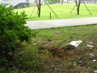 아르메스 장례 (이별) .. - 동물,기타 갤러리