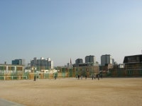 제1회 서울특별시 성북구청장배 검도대회 - 검도 갤러리