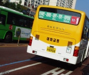 2년전 일산/수색쪽 잡사 - 버스 갤러리