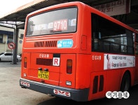 문산터미널 잡사 - 버스 갤러리