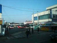 출근하면서 본것들.... - 버스 갤러리