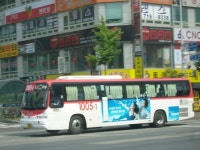 [성남]어제 사진. - 버스 갤러리
