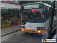 [천안]보성여객. - 버스 갤러리