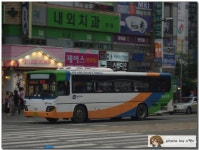 [천안]보성여객. - 버스 갤러리