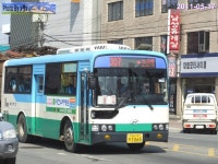 논산 덕성여객 찍찍 - 버스 갤러리