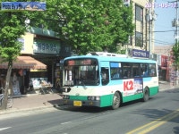 논산 덕성여객 찍찍 - 버스 갤러리