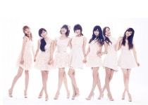 소박한 버섯만두전골 그리고 오동통한 너구리 - 기타음식 갤러리