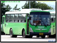 진도 / 해남.. - 버스 갤러리