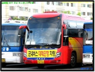 진도 / 해남.. - 버스 갤러리