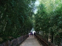 이번엔 담양 사진... - 아르바이트 갤러리