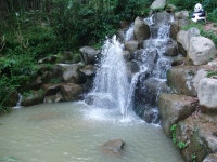 이번엔 담양 사진... - 아르바이트 갤러리