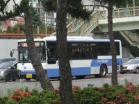 부산가서 찍은 디젤 하이브리드 버스 - 버스 갤러리