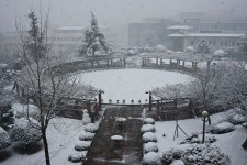 [부산] 부산대학교 설경 - 도시 갤러리